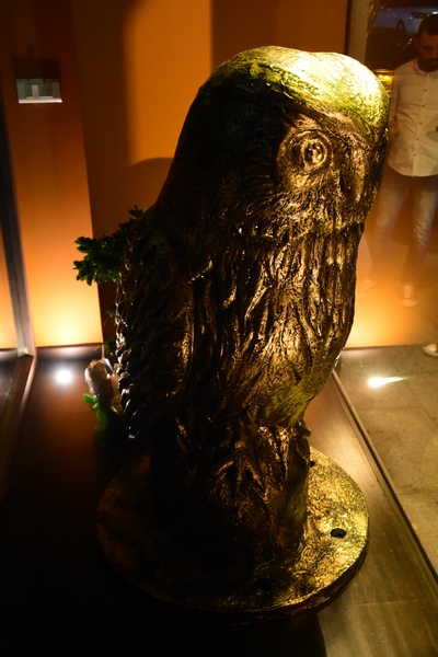 Fancy Owl on Friday night 